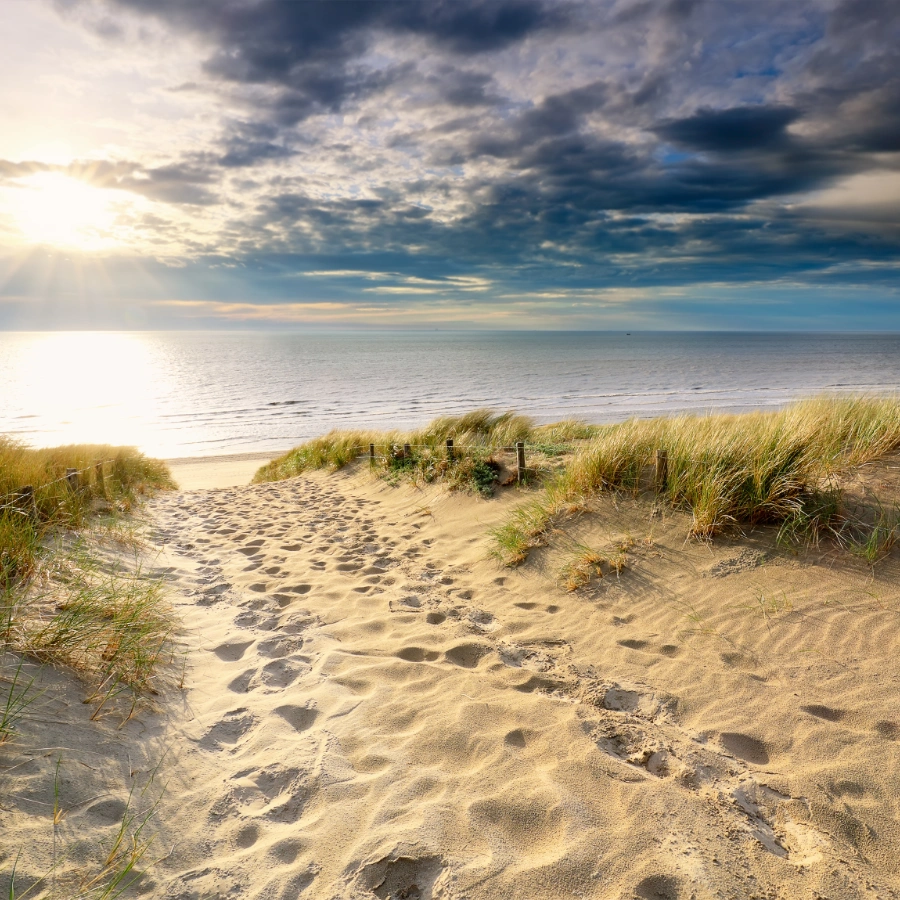 another epic background