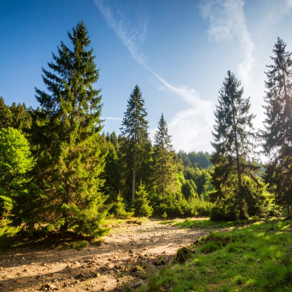 another epic background