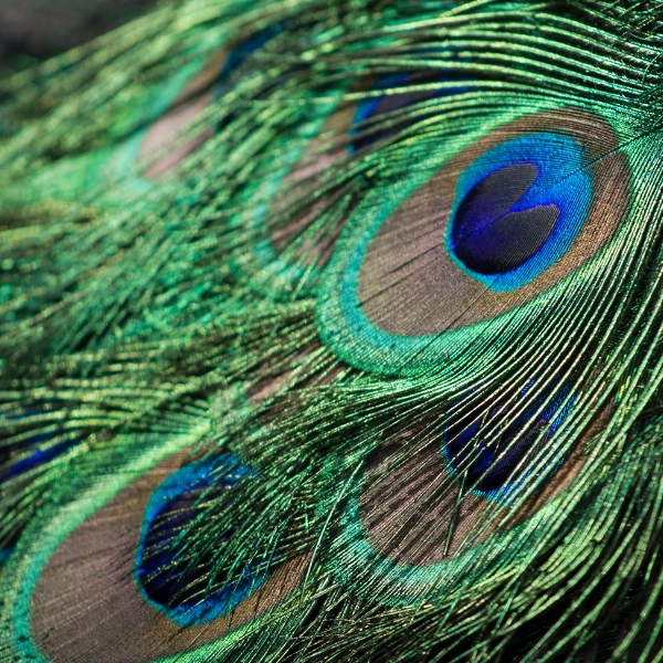 another epic background